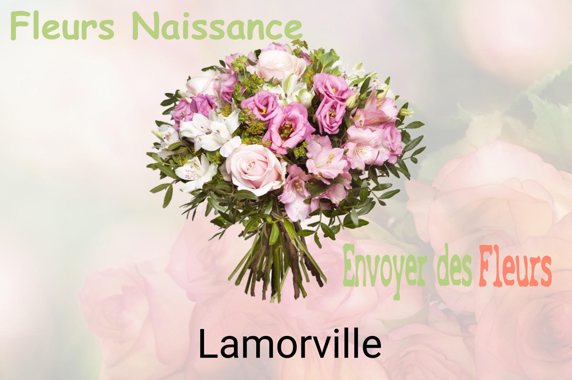 Bouquet de fleurs de naissance livré à Lamorville